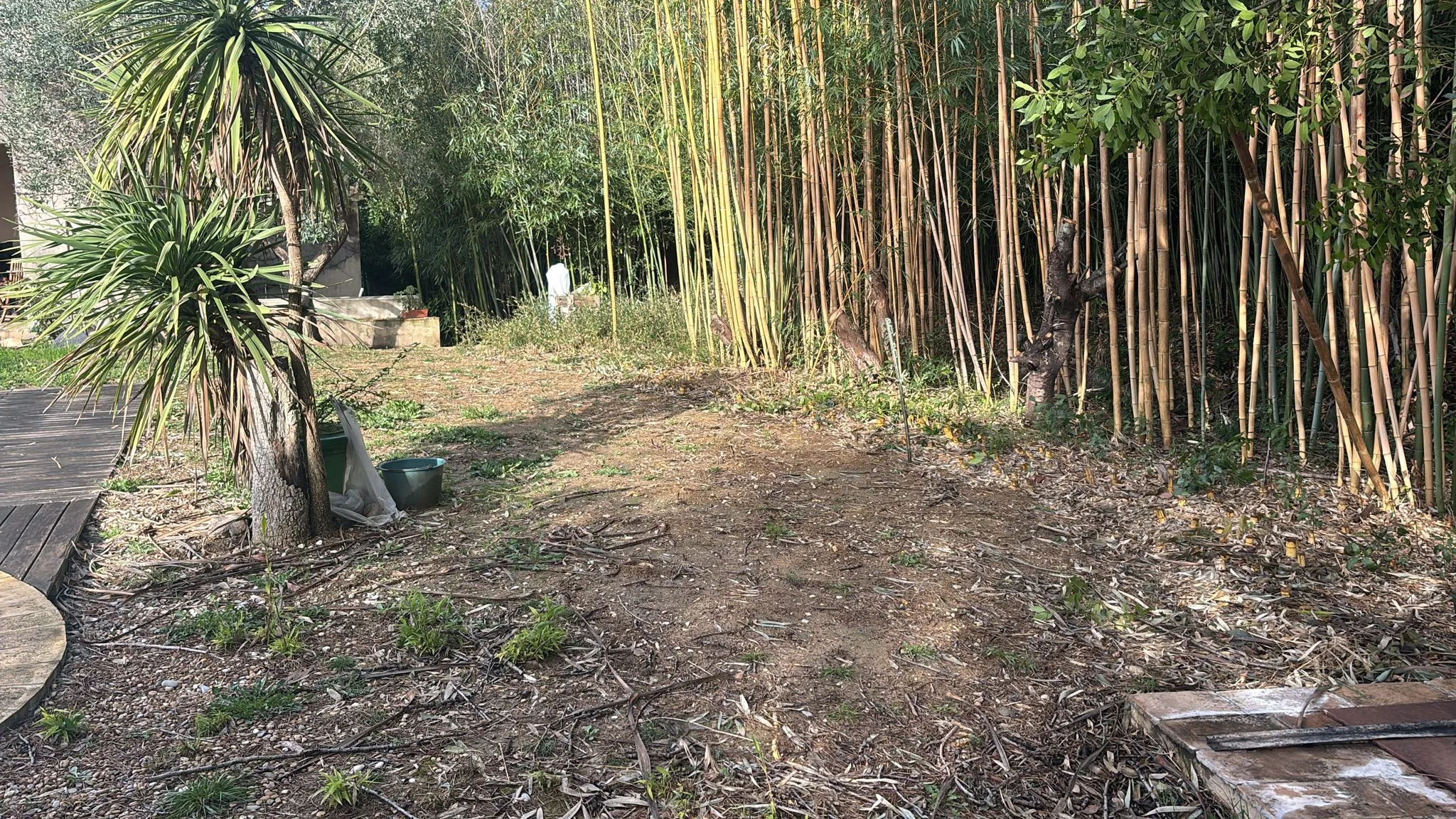 Viabilisation de parcelles à Nébian – Aménagement de surface avec bambous en bordure – SOCCTP 05 Viabilisation de parcelles à Nébian - Terrain nettoyé avant aménagement de surface par SOCCTP