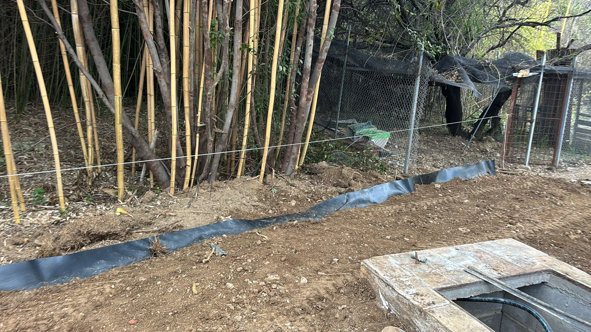 Viabilisation de parcelles à Nébian – Aménagement de surface avec bambous en bordure – SOCCTP 06 Viabilisation de parcelles à Nébian - Aménagement de surface avec bâche anti-rhiszone par SOCCTP